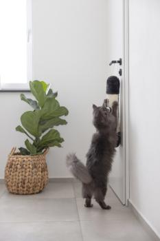 Sisalsäule Soft zum Aufhängen - Kratzsäule für Katzen zum Spielen, Jagen und Krallenwetzen